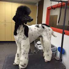 Touch device users, explore by touch or with swipe. Pin On Xander