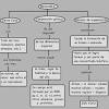 Concepto de organización en relación con el de grupo. Https Encrypted Tbn0 Gstatic Com Images Q Tbn And9gctdpcpfmhqc6mijtnbi2y1hzdv 4cqv2zvlarbdjtuh7y 0 Ahq Usqp Cau