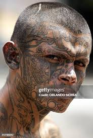 424 Al Mara Stock Photos, High-Res Pictures, and Images