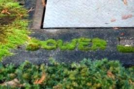 Check spelling or type a new query. Qu Est Ce Que Moss Graffiti Comment Faire Des Graffitis Moss Fr Haenselblatt Com