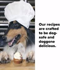 Bayshore pets is a fun place where you can visit and enjoy all sorts of unique and interesting pets. Three Dog Bakery Grooming Sarasota Utc Home Facebook