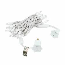 The Holiday Aisle Led Christmas Mini 20 Light String Lighting Wayfair