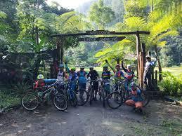 Warga mempopulerkannya dengan nama hutan pinus semeru (hps). Gowes Malang Raya Explore Kaki Semeru