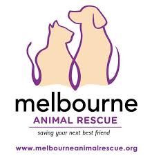 Check spelling or type a new query. Second Chance Animal Rescue Inc Home Facebook