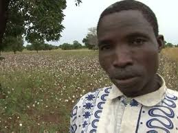 654 Pest Inspection Stock Videos, Footage, & 4K Video Clips