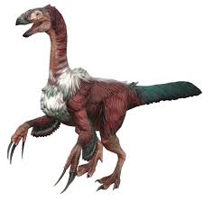 Image result for Nesogordonia