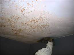 Then, use a putty knife or flat blade to scrape away the peeling paint. How To Repair Peeling Paint On Bathroom Walls And Ceiling Ramsden Painting