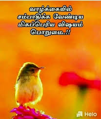 Check spelling or type a new query. Besttamilquotes On Twitter Good Morning Tamilquotes Besttamilquotes Quotes Love Life Family Solve