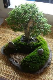 Design Garden Guide Japanese Google Japanese Garden Landscape With Qui In 2020 Mini Zen Garden Japanese Garden Landscape Bonsai Garden
