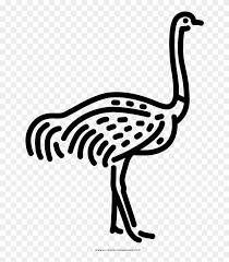 Despite belonging to birds, ostriches cannot fly. Ostrich Coloring Page Coloring Book Free Transparent Png Clipart Images Download