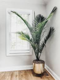 Best Indoor Planters And Herb Garden Ideas First Thyme Mom House Plant Pots Plant Decor Indoor Tall Indoor Plants
