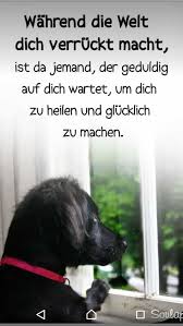 Besonders der von personen und dingen, die man liebt. 190 Mein Hund Der Bessere Mensch Ideen Hundespruche Hund Zitat Spruche Tiere