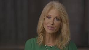 Kelly Anne's Instagram, Twitter & Facebook