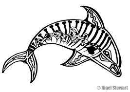 Blog Archive Nigel Stewart Dolphin Painting Aboriginal Dreamtime Xray Art