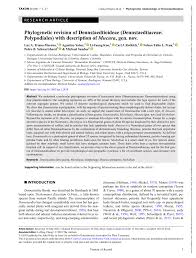 Image result for Blotiella trichosora