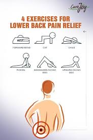 Pin On Motivation For Getting Rid Of The Pounds Fat