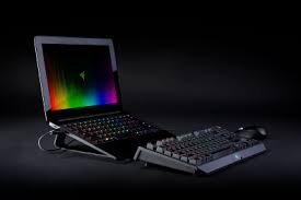 As pretty as that cnc aluminum chassis is, it's not great for heat dissipation. Razer Blade Stealth Laptop Stand Buy Gaming Grade Accessories Official Razer Online Store