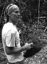 Image result for Eriochrysis pallida