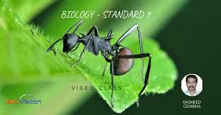 Cambridge english empower b1+ unit progress test 5. Class 9 Biology Unit 5 Excretion To Maintain Homeostasis Video Lessons 1 2