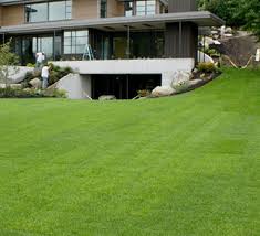 Maybe you would like to learn more about one of these? Lawn Care Dahlonega Ga Lawn Care Cumming Ga Casey Scapes