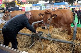 We did not find results for: Les Infos De 7h Salon De L Agriculture 22 000 Produits Regionaux A Deguster