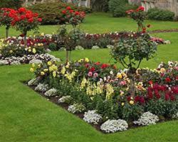 Maybe you would like to learn more about one of these? Hello Welcome To Texas Lawn Ranger Landscaping