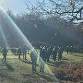 Knole Park Netwalking with Thackray Williams event image