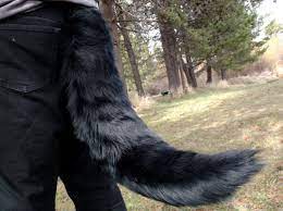 Furry Wolf Costume Tail XL 36 - AnthroWear