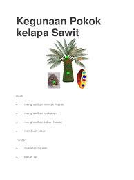 Gambar anak pokok sawit tidak berkualiti. Kegunaan Pokok Kelapa Sawit