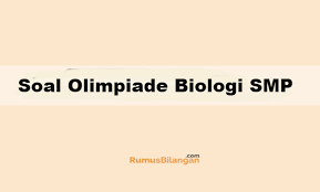 (nilai 1) umumnya makromolekul biologis tersusun dari polimerisasi komponen utamanya. Soal Olimpiade Biologi Smp Mts 2020 Dan Kunci Jawabannya
