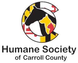 Click here to view cats in maryland for adoption. Humane Society Of Carroll County Adopt A Friend Fur Life
