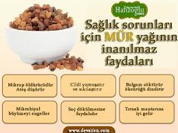 Mur Yaginin Faydalari Yan Etkileri Ilaclar Ile Etkilesimi Herbalist Adnan Yildirim Temel Yaglar Bitki Saglik