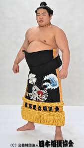 平戸海 雄貴 - 力士プロフィール - 日本相撲協会公式サイト