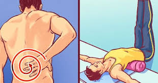 Pin On Healthy