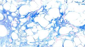 We did not find results for: Blue Marble Background For Computer Novocom Top
