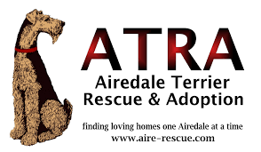 The problem today over 80% of working/detector dogs in the united states are imported from eastern europe even though there are an estimated 73 million dogs in the united states of which. Pets For Adoption At Airedale Terrier Rescue Adoption In Shawano Wi Petfinder