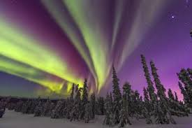 Aurora Borealis Northern Lights Near Fairbanks Alaska Premium Photographic Print Stuart Westmorland Art Com In 2020 Northern Lights Aurora Borealis Aurora Borealis Northern Lights