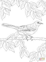 Download and print these adult coloring pages for free. Printable Realistic Bird Coloring Pages Novocom Top
