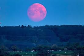 24 de junio del 2021. Que Es Y Como Ver La Superluna Rosa De Abril Ciencia Opinion Bolivia