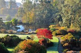 Les 10 Plus Beaux Jardins D Ille Et Vilaine Beaux Jardins Les Plus Beaux Jardins Jardins
