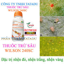 Wilson 240SC.