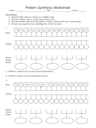 Ill in the +emplate dna strand b. Visual Protein Synthesis Worksheet Translation Biology Messenger Rna