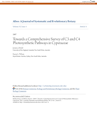 Image result for Pycreus fibrillosus