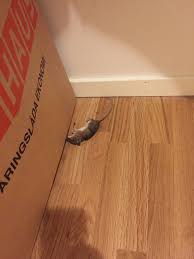 Image result for site:byggahus.se ekonom