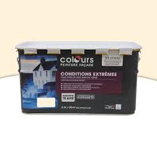 Peinture Murs A Relief Resistance Extreme 2 5l Ton Pierre Castorama Peinture Facade Castorama Facade