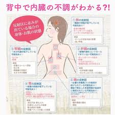 小顔職人 スピリチュアルマッサージャーさんはinstagramを利用しています 足裏のリフレクソロジーは有名ですが背中にも反射区があります 反射区はツボではありません 内臓に影響を与える 反射する場所ということです 背中 ツボ リフレクソロジー ツボ