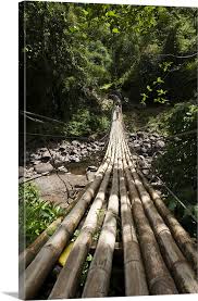 Bamboo Bridge At Dark View Falls St Vincent And The Grenadines Windward Islands Wall Art Canvas Prints Framed Prints Wall Peels Great Big Canvas See more of dark view falls on facebook. bamboo bridge at dark view falls st vincent and the grenadines windward islands solid faced canvas print