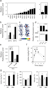 The legend of kung fu, presented by china heaven creation …. Metabolic Engineering Of The Iodine Content In Arabidopsis Scientific Reports
