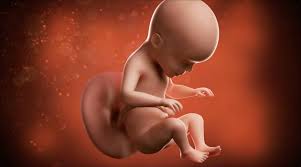 Pain in the abdomen and under the ribs can be caused by the growing uterus, which presses the internal organs. 26 Weeks Pregnant Pregnancy Sma Baby