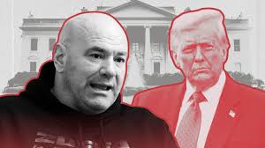 Gold Coast crime news: Dirt bike bandits wreck beloved Christmas roo in  Mudgeeraba